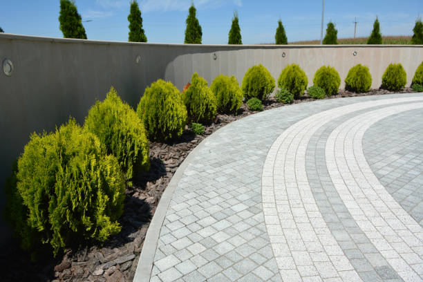 Best Residential Driveway Paver Services  in Panora, IA